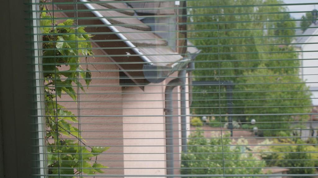 Chambre D'Hotes Le Vogelgarten Sigolsheim Rom bilde